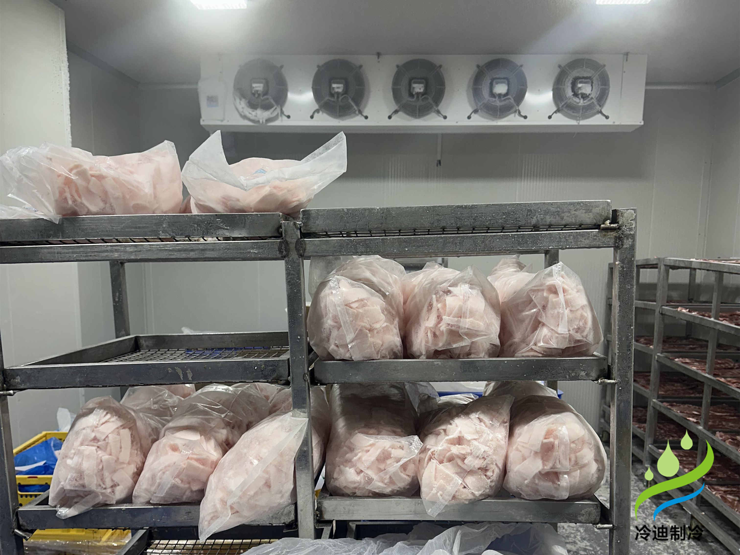 建造一座30噸冷庫造價需要多少錢？