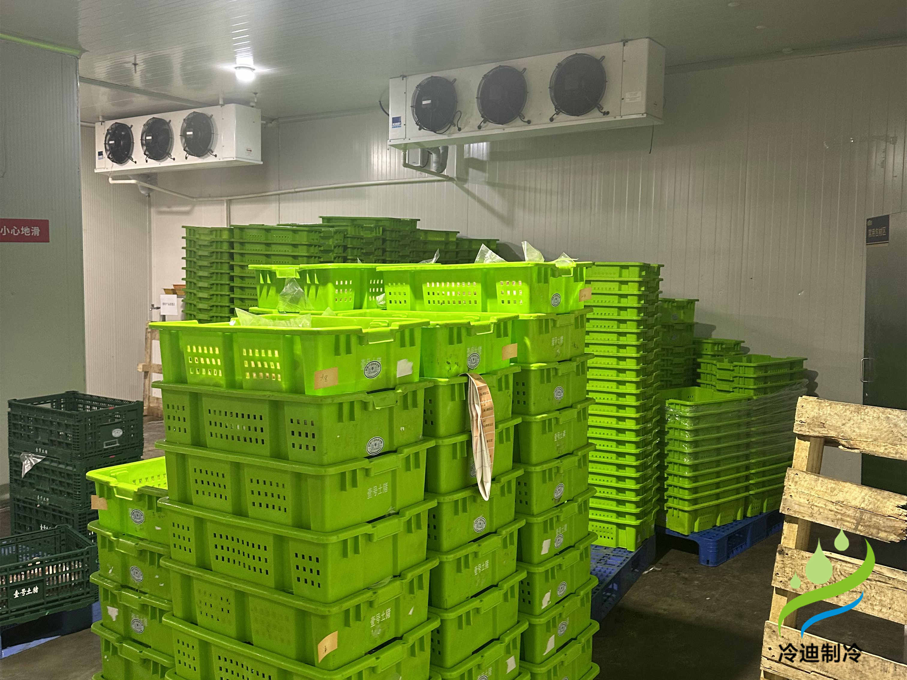 建造一座30噸冷庫造價需要多少錢？